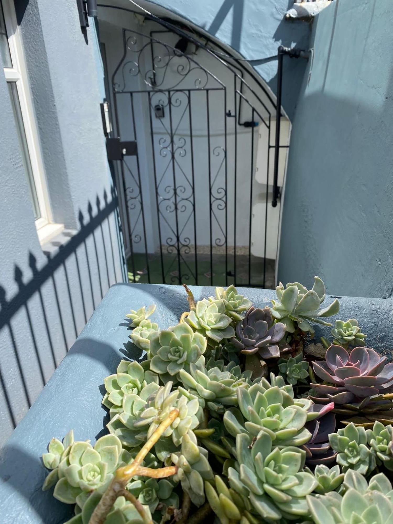 Kemptown Courtyard Apartment ブライトン エクステリア 写真